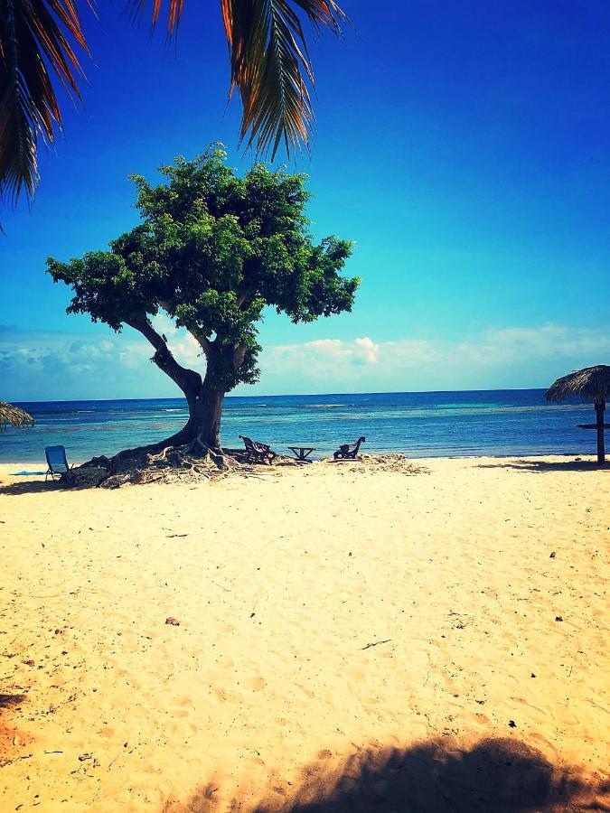 Ti Kaz Effet Mer Saint-Francois  Exterior photo