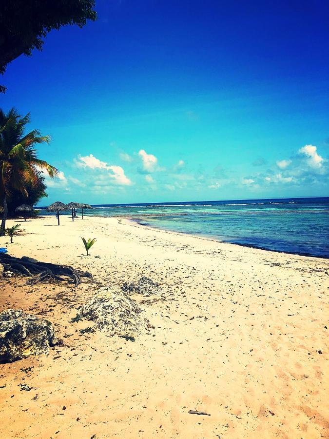 Ti Kaz Effet Mer Saint-Francois  Exterior photo